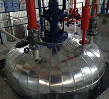 Stainless Reactors